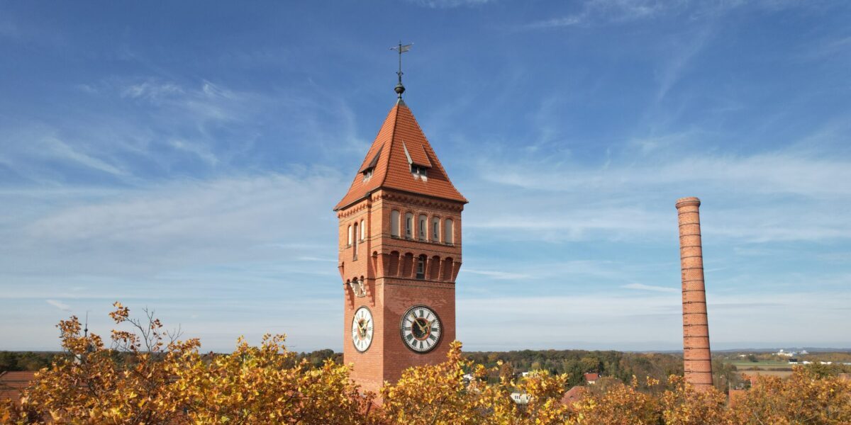 Łukasiewicz - PORT | Contact with P4Health